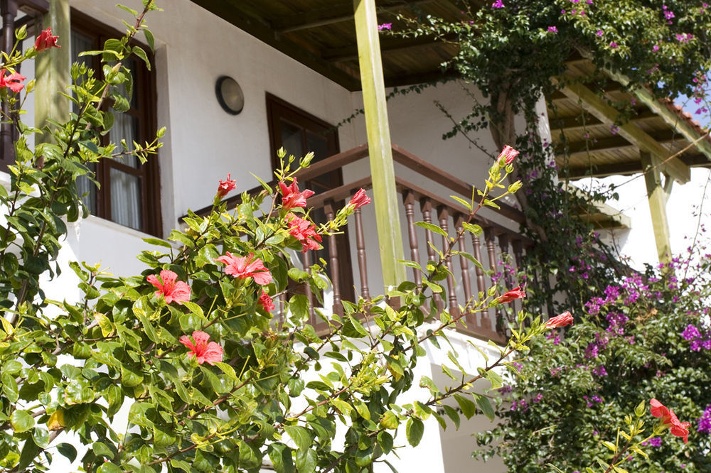 Delfi Hotel Spa & Wellness Center Bodrum Ngoại thất bức ảnh